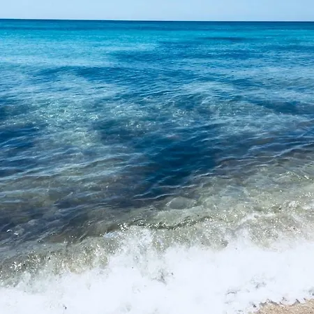 Erpi Vacanze Di Palmate' Cinzia