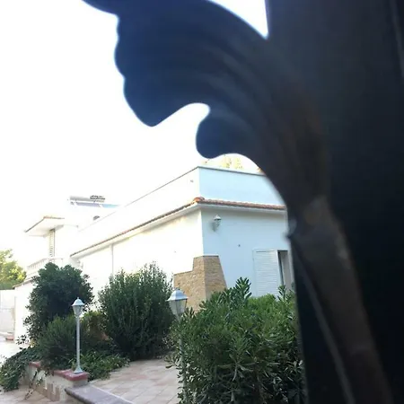 Erpi Vacanze Di Palmate' Cinzia